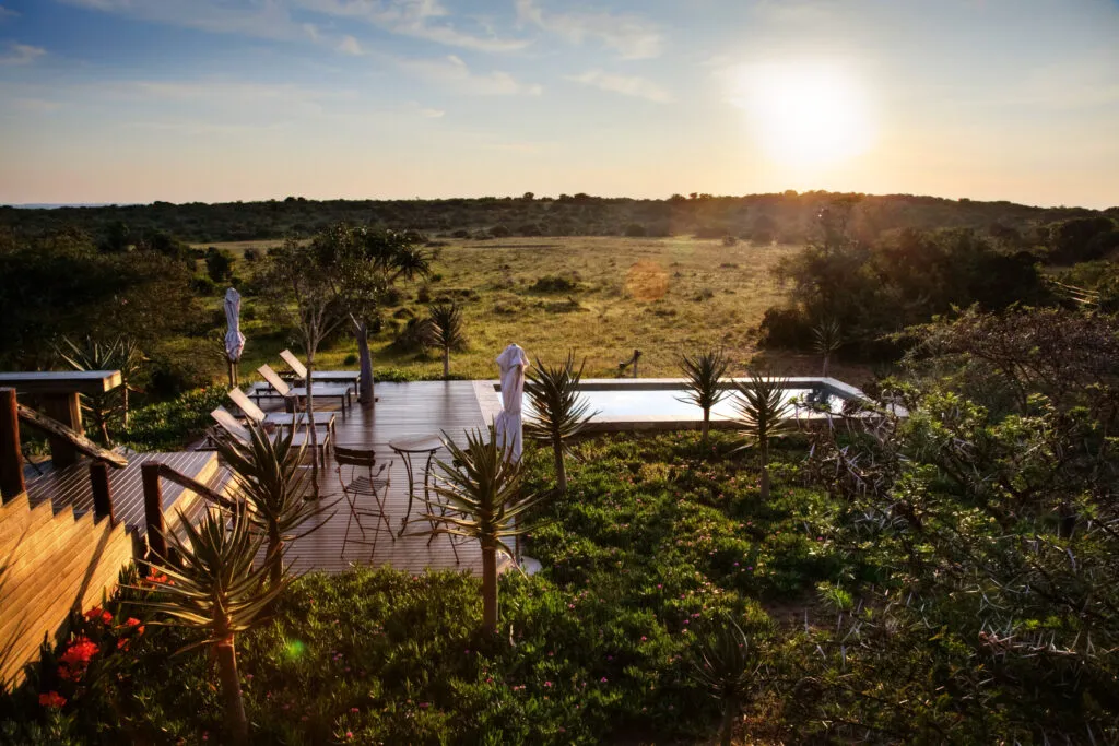 Amakhala Bush Lodge - 10